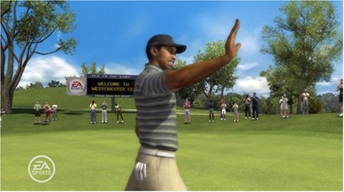 DVD-плейър Tiger Woods PGA Tour 08 за PC